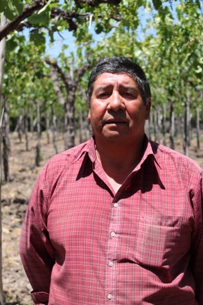 José Luis Lopez Espindola, Tafeltrauben-Produzent der Kooperative Mi Fruta