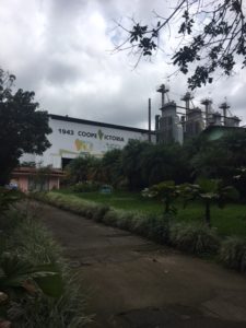 Zuckerfabrik
