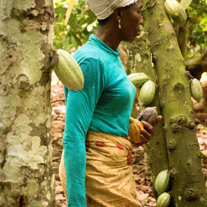 Beatrice Boakye ist Fairtrade Kakaobäuerin aus Ghana