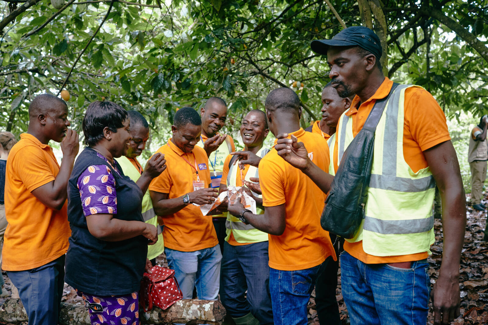 Doumbia Assata Koné und Arbeiter*innen ihrer Plantage probieren Schokolade.