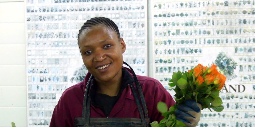 Fairtrade Rosen – wenn Tansania bunt blüht