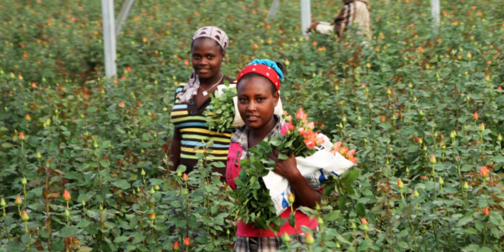 Auf Blumentour in Ostafrika