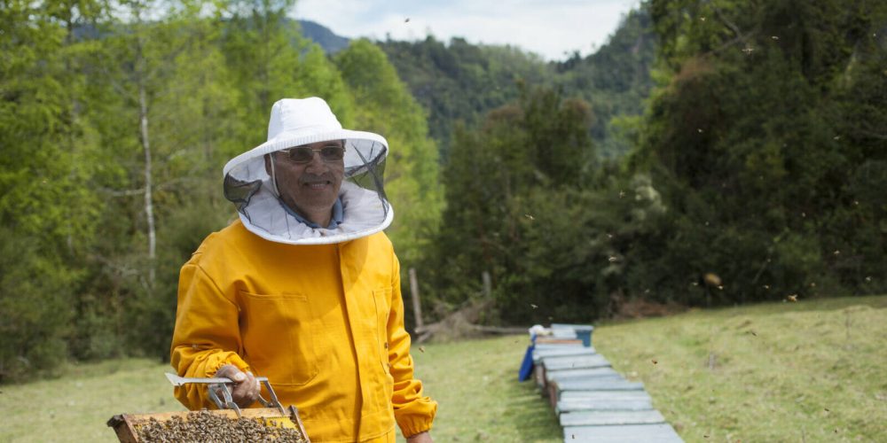 #Storybox: Fairtrade-Honig von Guido aus Chile