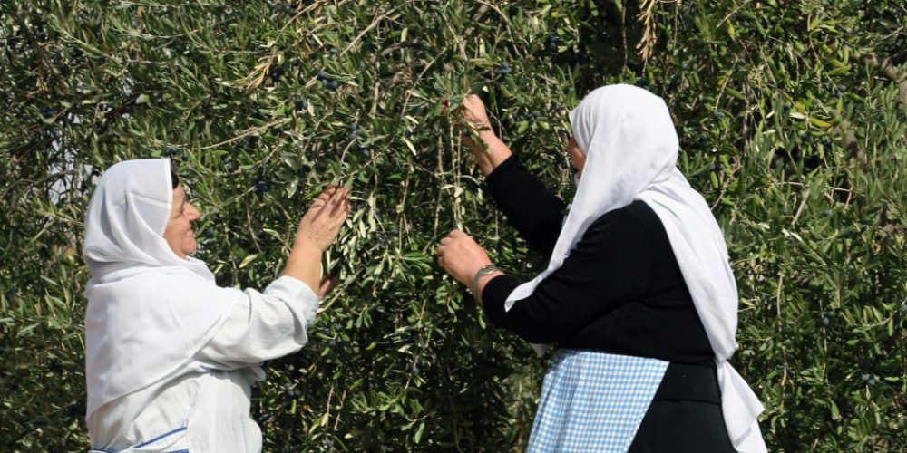 Fairtrade-Produzenten im Libanon – nach der Fairtrade-Kochshow in den Nahen Osten