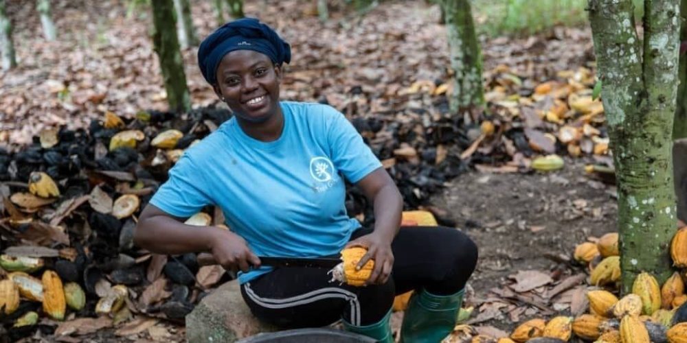 Interview mit Kakaobäuerin Deborah Osei-Mensah: „Wir spüren die Auswirkungen des Klimawandels schon jetzt“