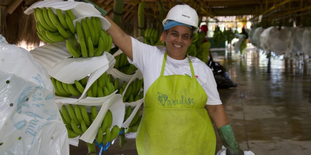 #Storybox: Nercy – Fairtrade-Bananen aus der Dominikanischen Republik