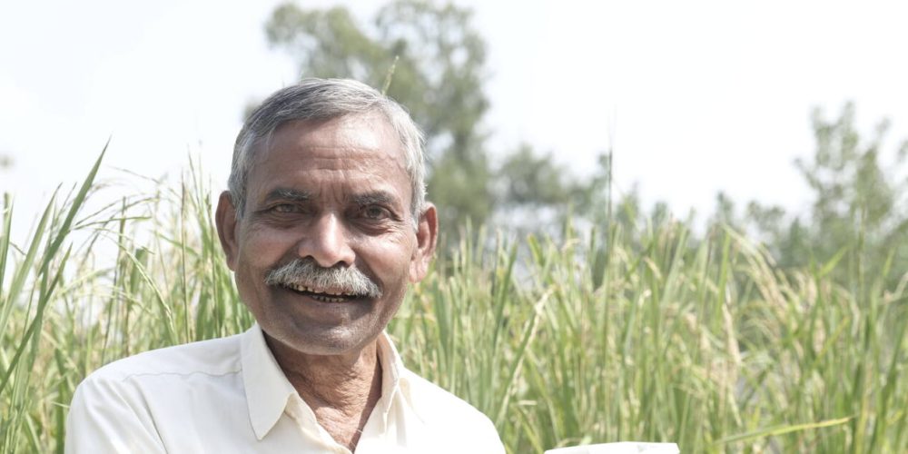 Reisanbau am Fuße des Himalayas – biodynamisch und fair