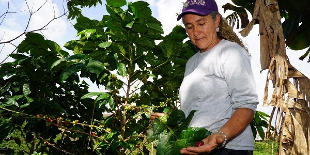 Storybox: Angelica María Escobar Valencia – eine Landwirtin mit Hoffnung für die Zukunft